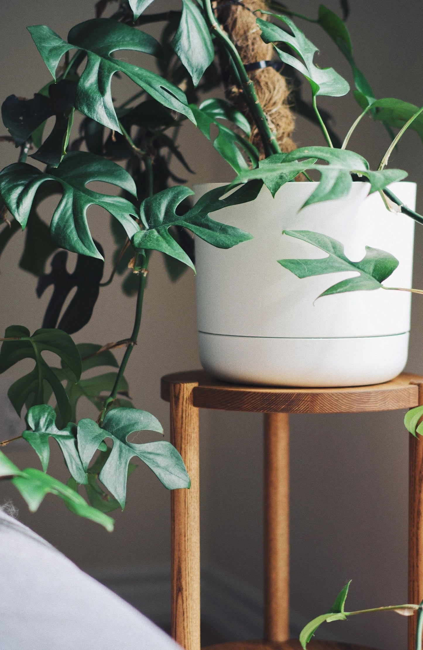 Wood Side Table Tall