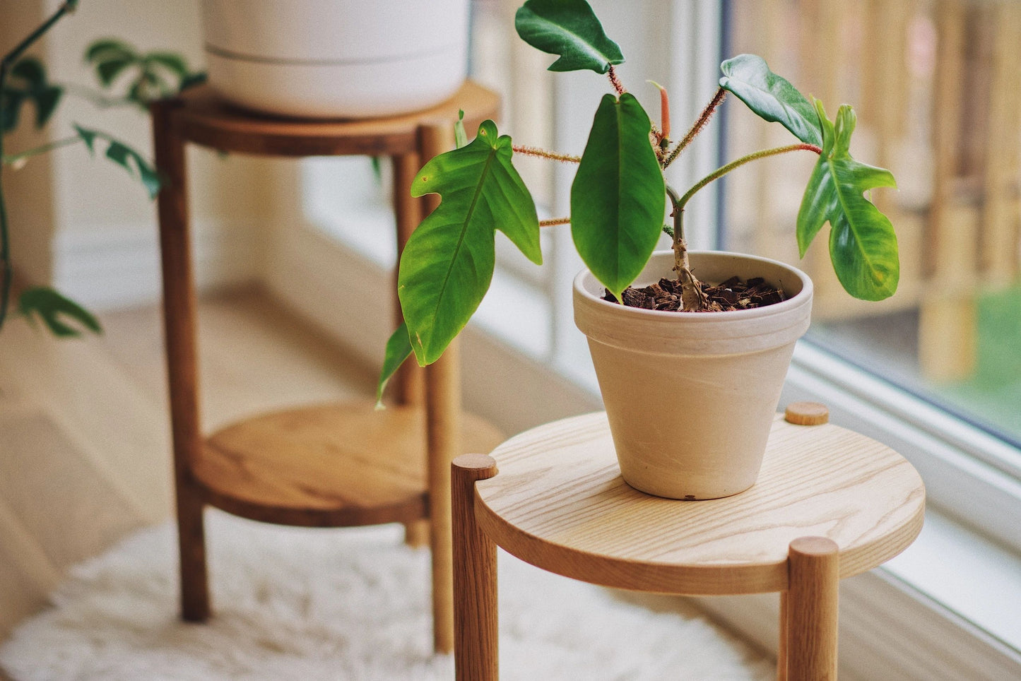 Wood Side Table Tall
