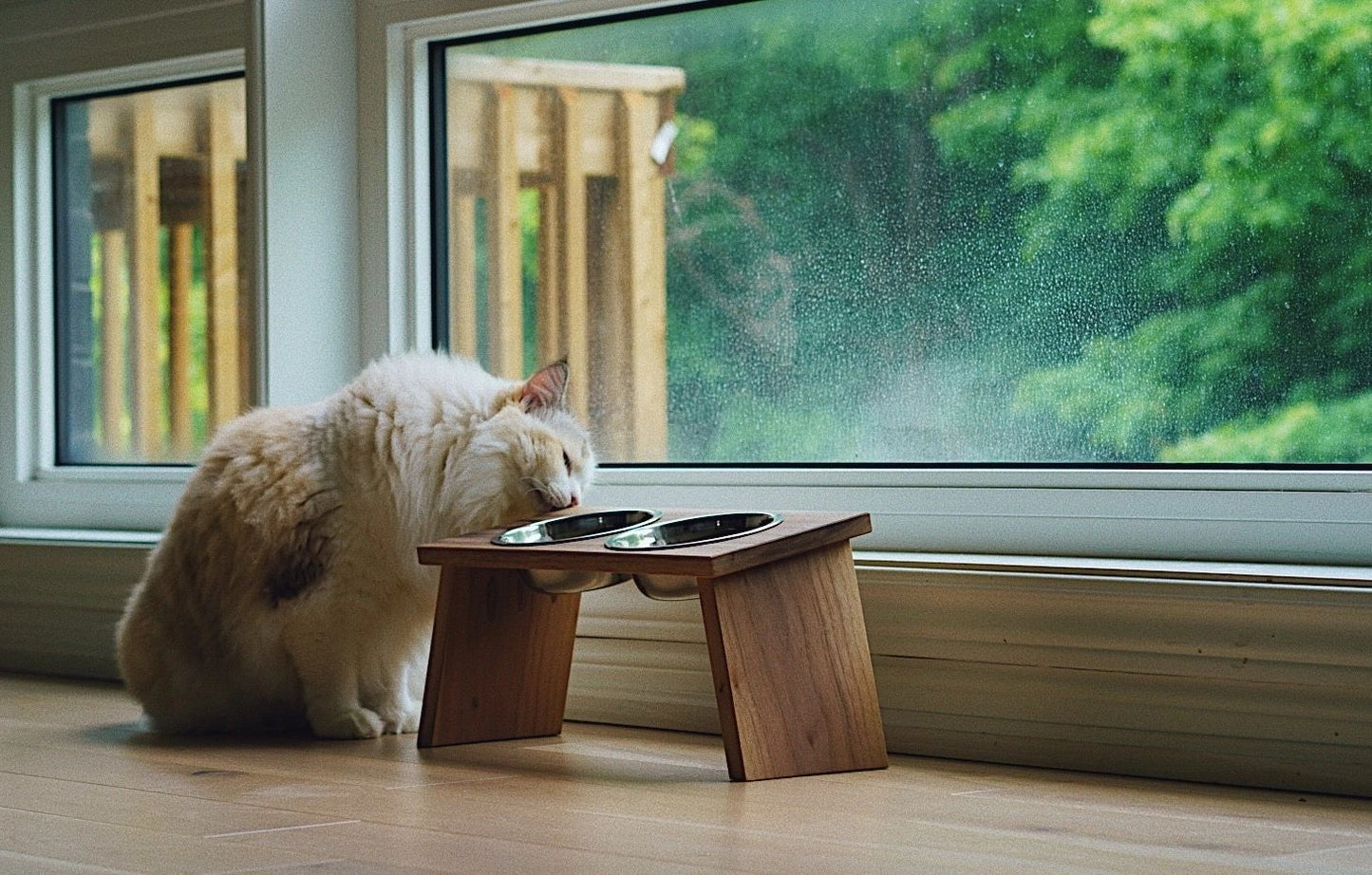 Cat Feeding Station